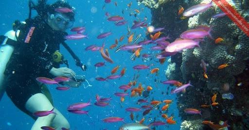 Marmaris Scuba Diving - 3