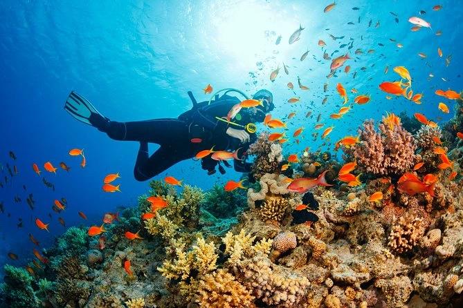 Marmaris Scuba Diving - 2